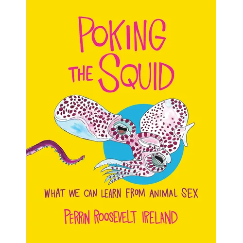 Poking the Squid: What We Can Learn from Animal Sex