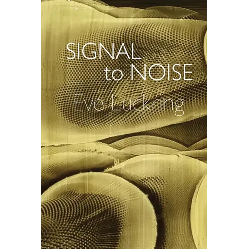 Signal to Noise
