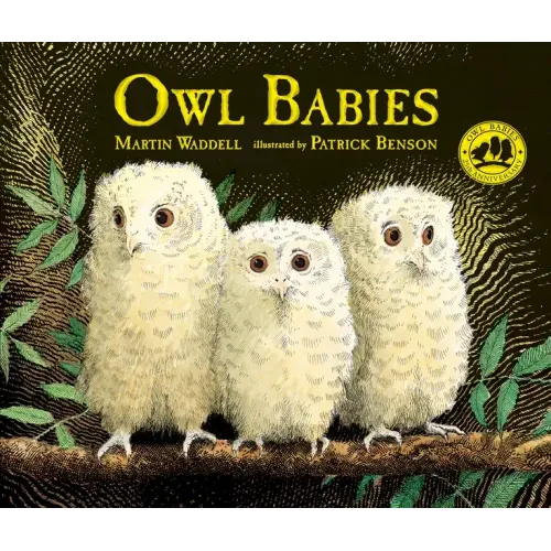 Owl Babies