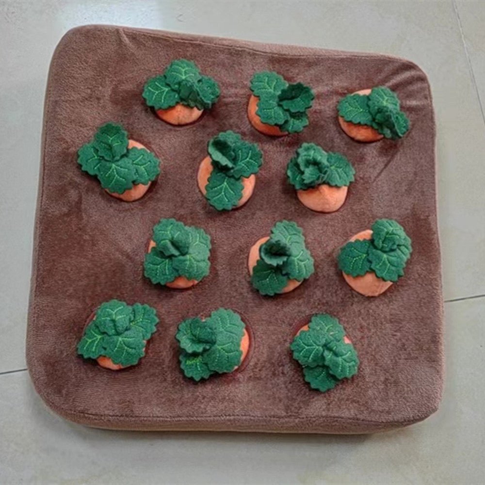 Carrot Toy for Dogs