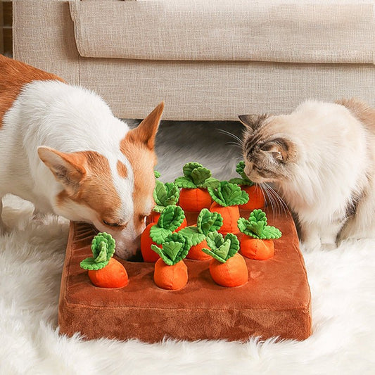Carrot Toy for Dogs