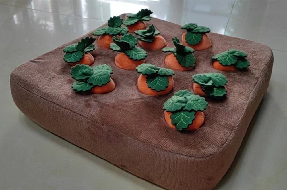 Carrot Toy for Dogs