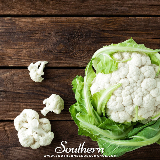 Snowball Y Improved Cauliflower – 200 Seeds