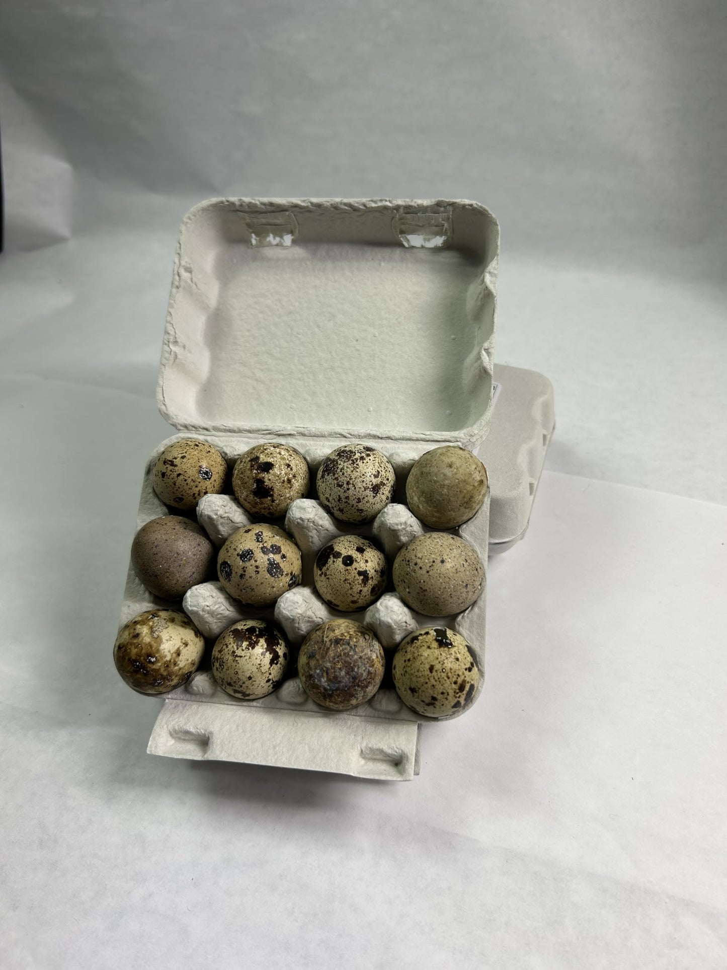 Fresh Quail Eggs Laid in the US