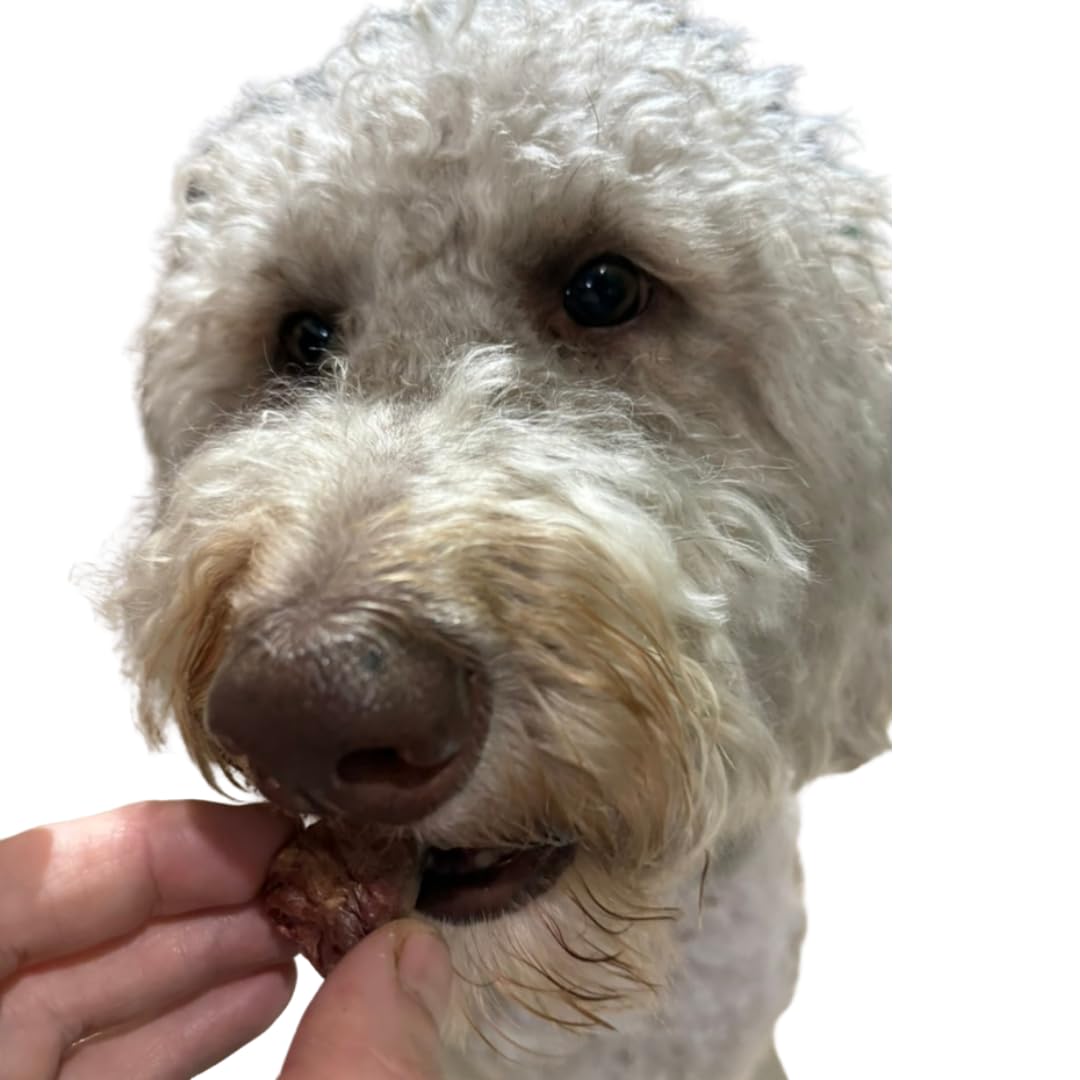 Freeze-Dried Duck Hearts, 3 oz, Single Ingredient Dog & Cat Treats, USA Made