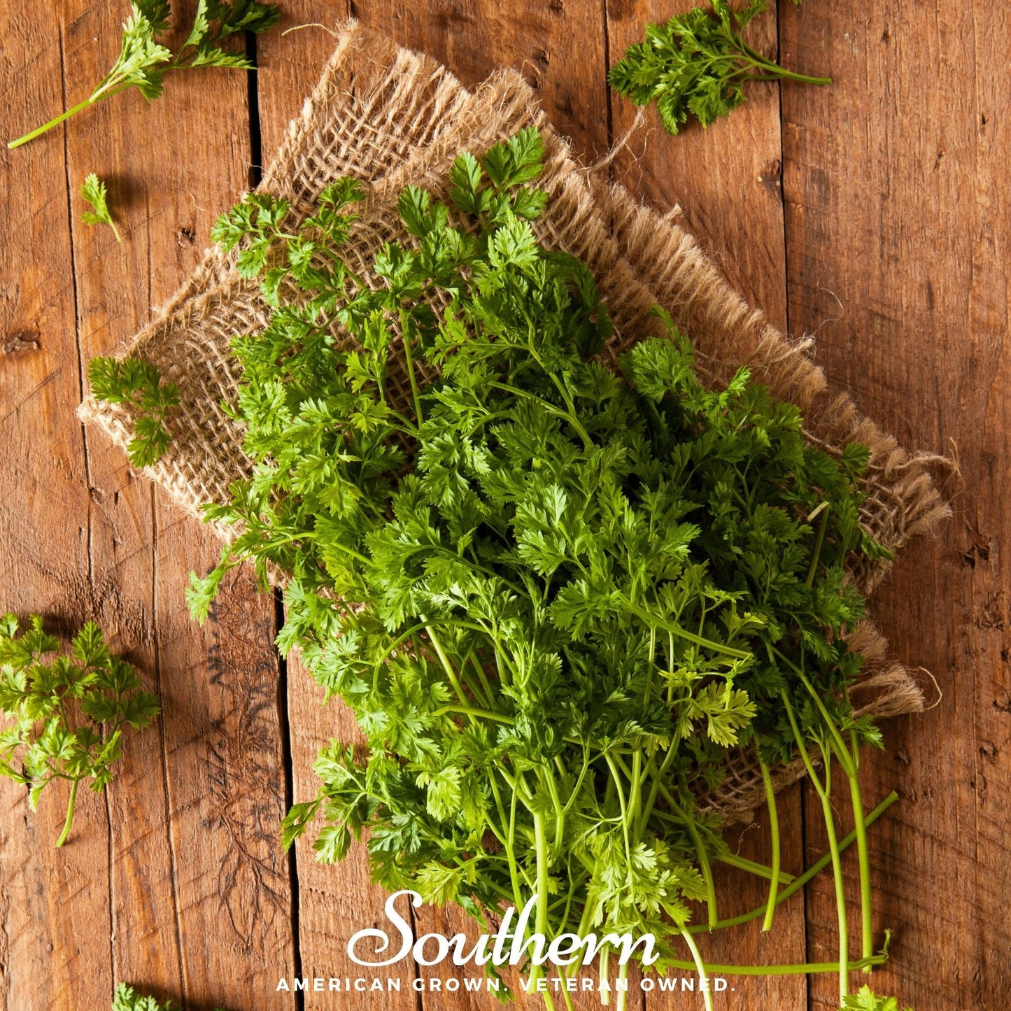Curled Chervil – 200 Seeds