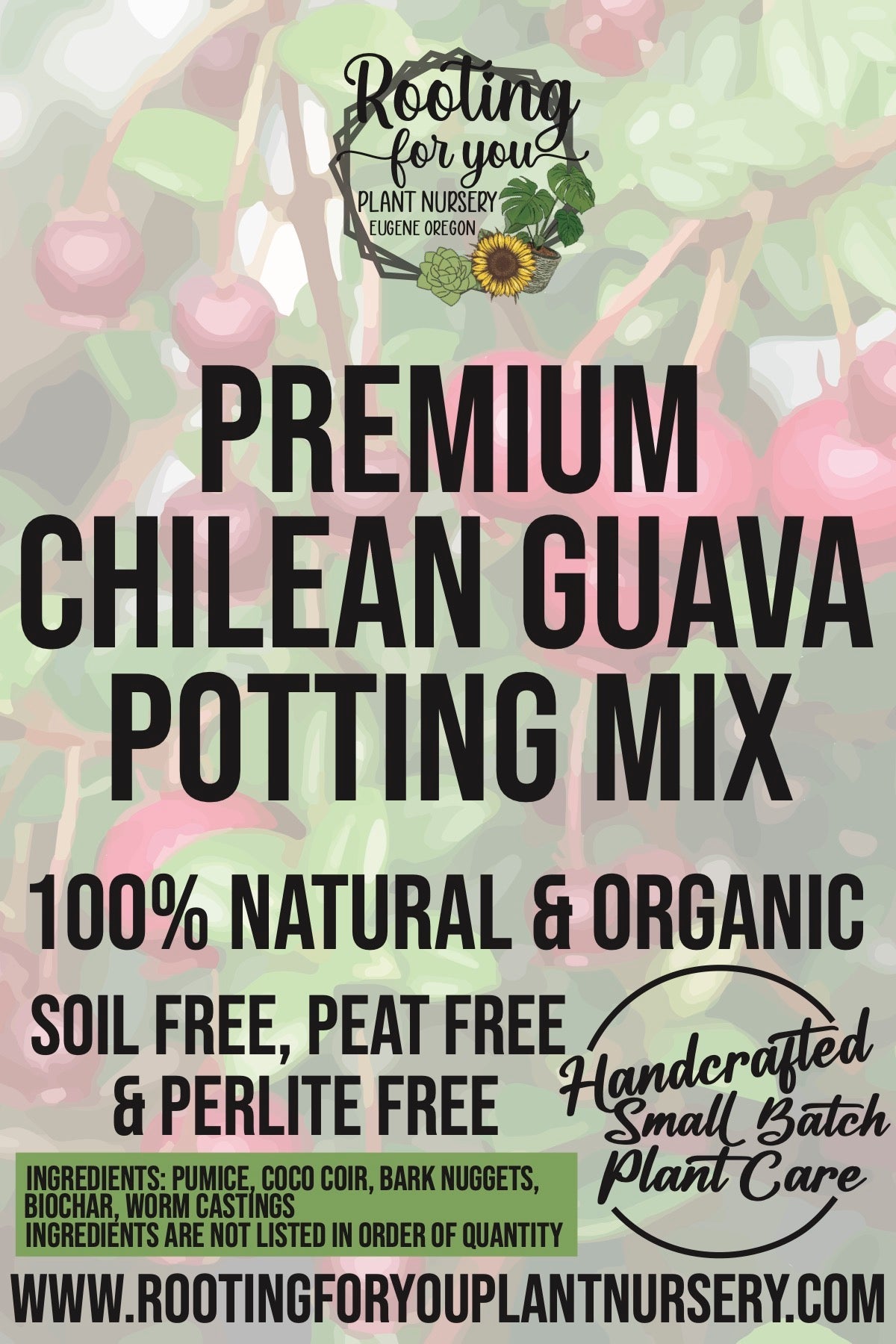 Chilean Guava Premium Potting Mix