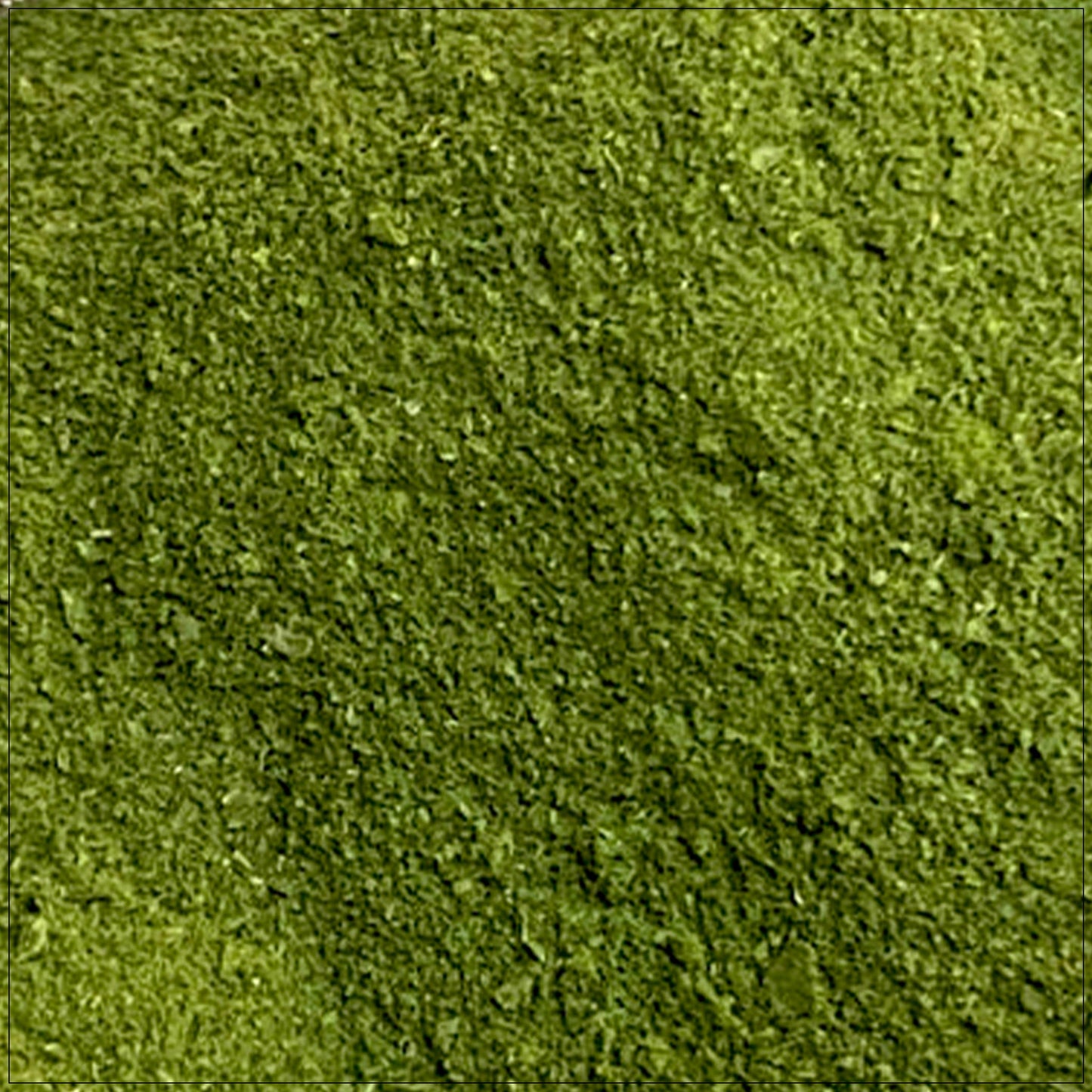 Chlorophyll Powder