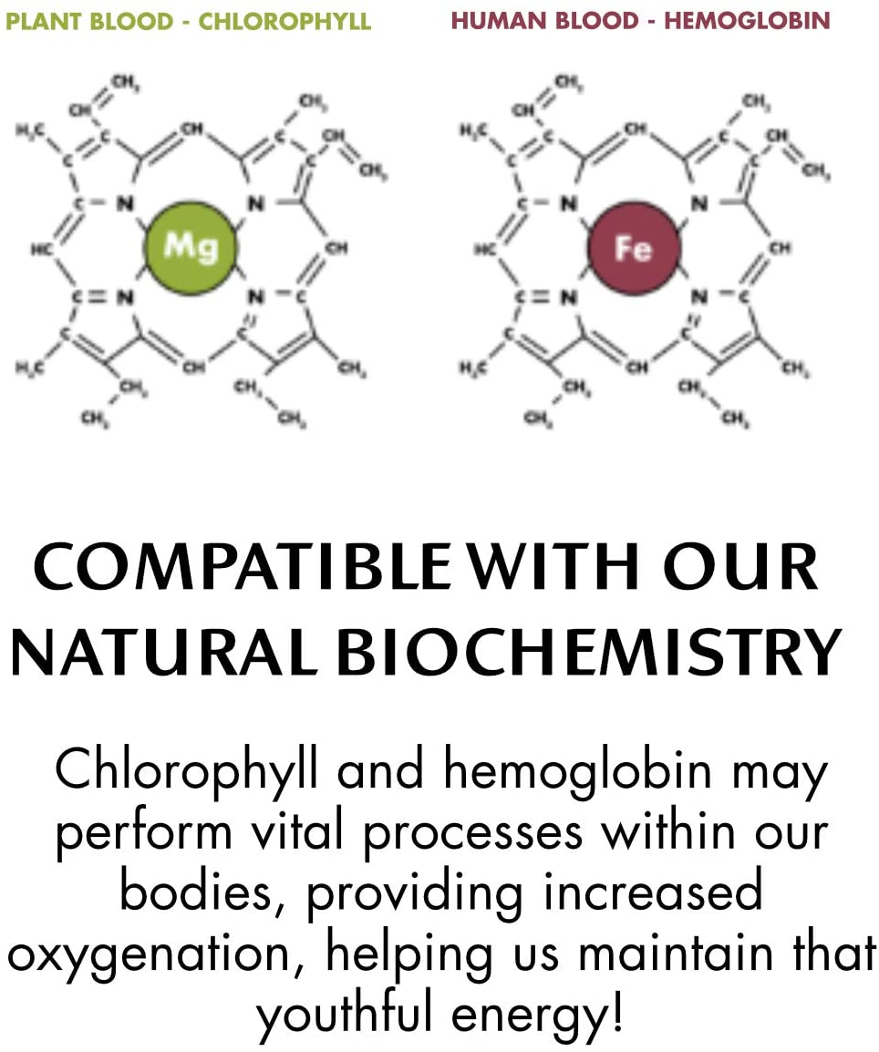 Chlorophyll Water Chlorophyll Water® (2 Cases/24 Bottles) Purified Mountain Spring Water with Essential Vitamins
