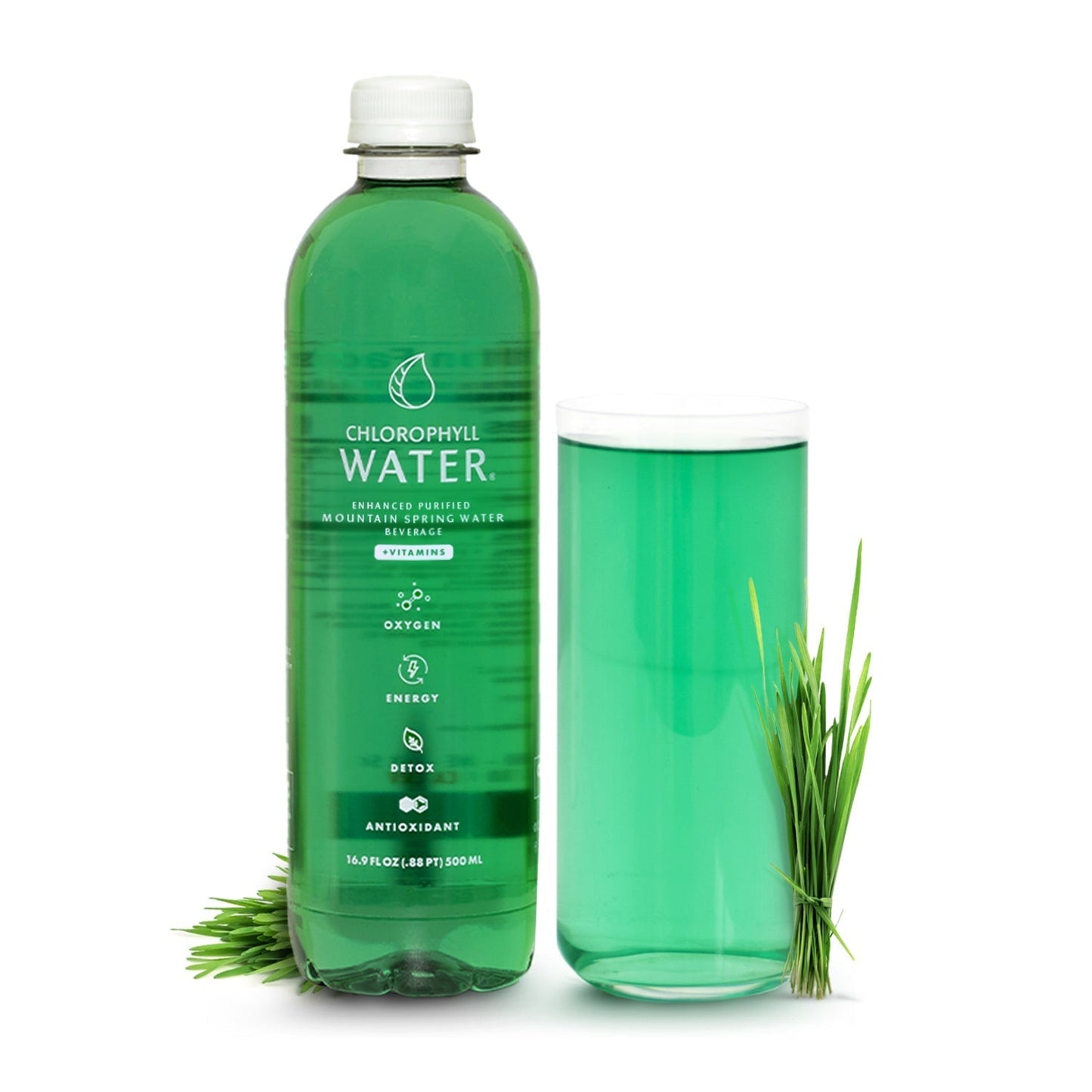 Chlorophyll Water Chlorophyll Water® (2 Cases/24 Bottles) Purified Mountain Spring Water with Essential Vitamins