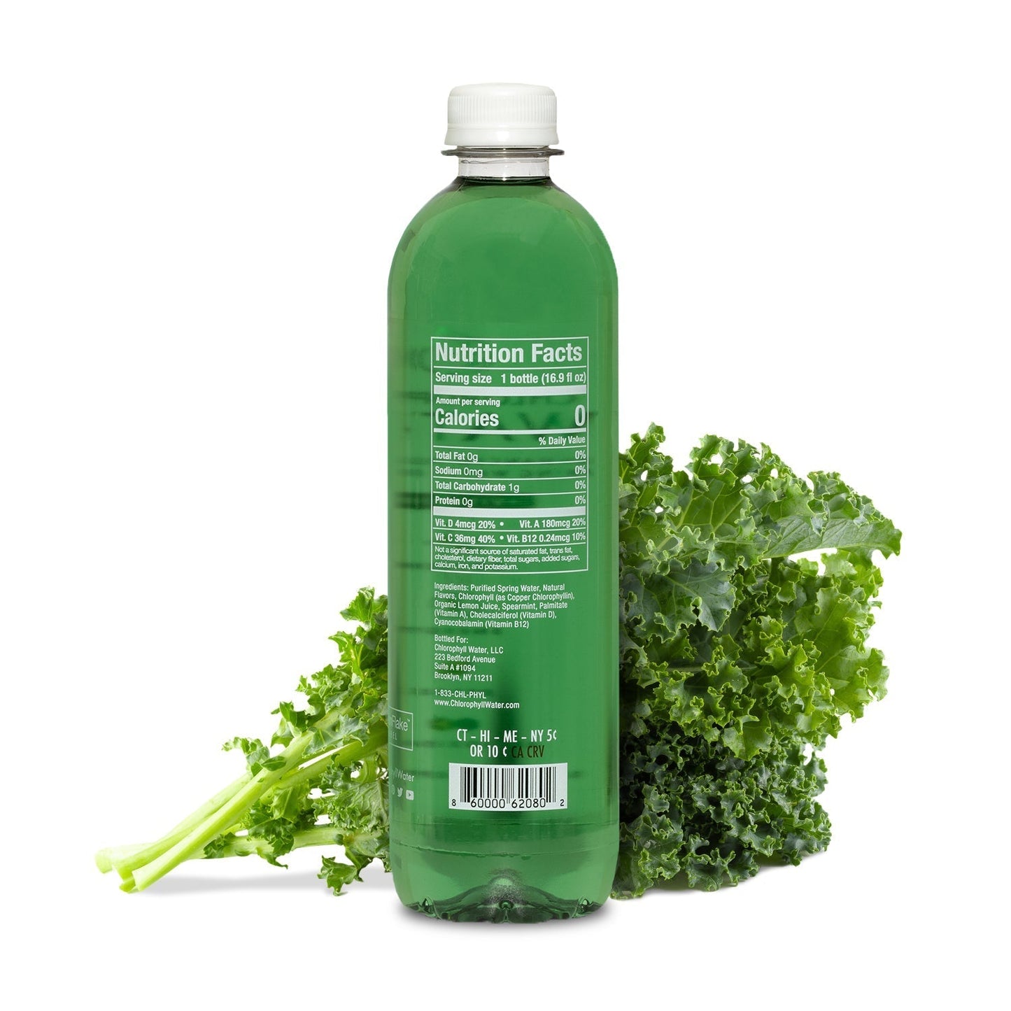 Chlorophyll Water Chlorophyll Water® (2 Cases/24 Bottles) Purified Mountain Spring Water with Essential Vitamins