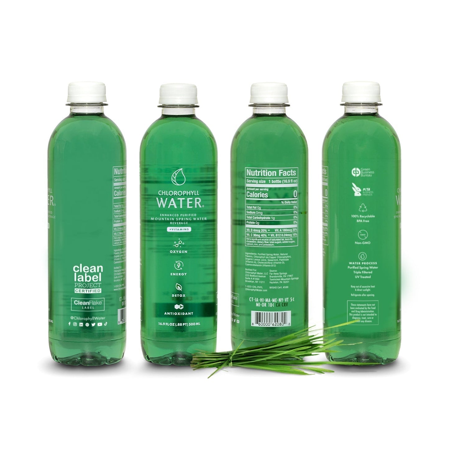 Chlorophyll Water Chlorophyll Water® (2 Cases/24 Bottles) Purified Mountain Spring Water with Essential Vitamins