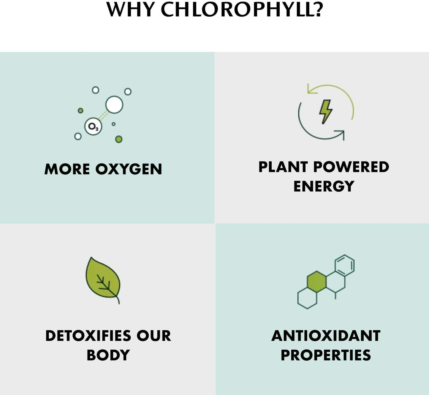 Chlorophyll Water Chlorophyll Water® (2 Cases/24 Bottles) Purified Mountain Spring Water with Essential Vitamins