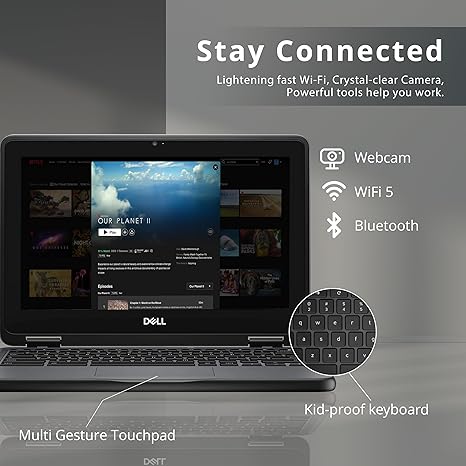 Bulk Lot of 1000 Dell 3100 Chromebooks - Chrome OS 11.6" Intel Celeron 4 GB 16 GB - Bulk Offer for Schools and Businesses - Chromebooks R Us - Little Red General Store