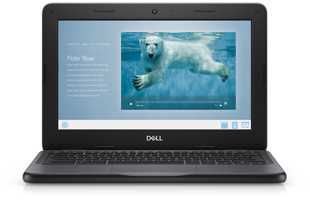 Dell Chromebook 3100 Chrome OS Laptop - 11.6" Display Intel Celeron Dual Core - 4 GB RAM 16 GB eMMC Intel HD Graphics - Chromebooks R Us - Little Red General Store