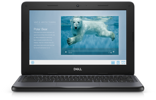 Dell Chromebook 3100 Chrome OS Laptop - 11.6" Display Intel Celeron Dual Core - 4 GB RAM 16 GB eMMC Intel HD Graphics - Chromebooks R Us - Little Red General Store