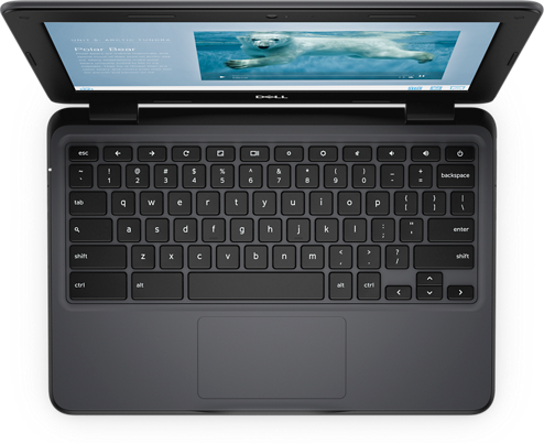 Dell Chromebook 3100 Chrome OS Laptop - 11.6" Display Intel Celeron Dual Core - 4 GB RAM 16 GB eMMC Intel HD Graphics - Chromebooks R Us - Little Red General Store