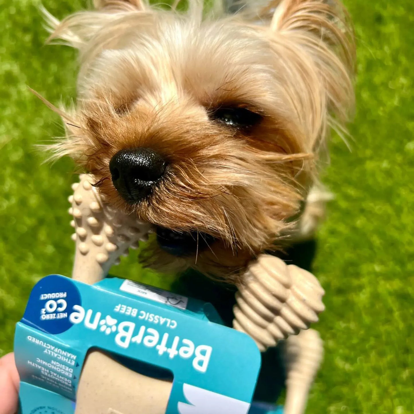 BetterBone SOFT Durability CHEW TOY: Perfect Natural Chew for Teething Puppies, Senior Dogs & Gentle Chewers | Natural, Eco-Friendly, Non-Toxic