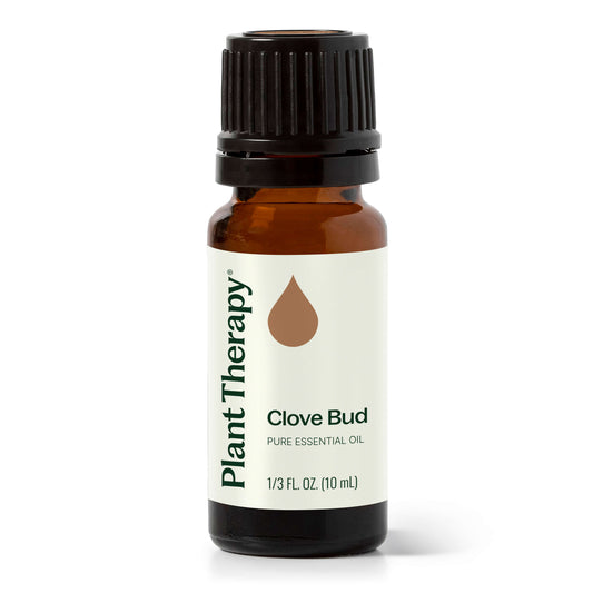Clove Bud Essential Oil