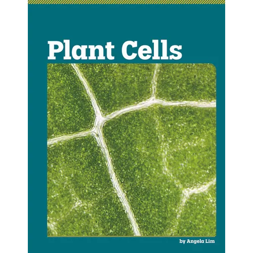 Plant Cells