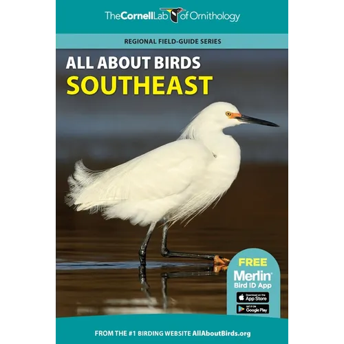 All about Birds Southeast
