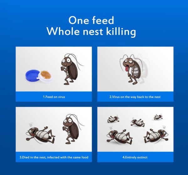 Cockroach Killer Bait Stickers for Effective Control