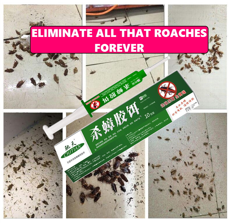 Cockroach Pest Control Product for Effective Extermination