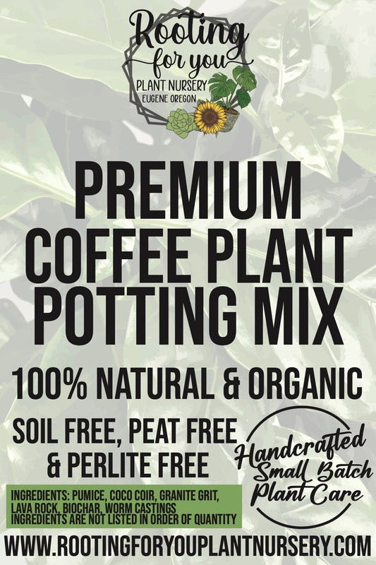 Coffee Plant Premium Potting Mix