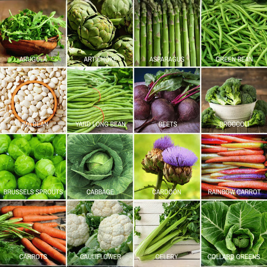 Community Garden Survival Seed Vault – 120 Seed Varieties