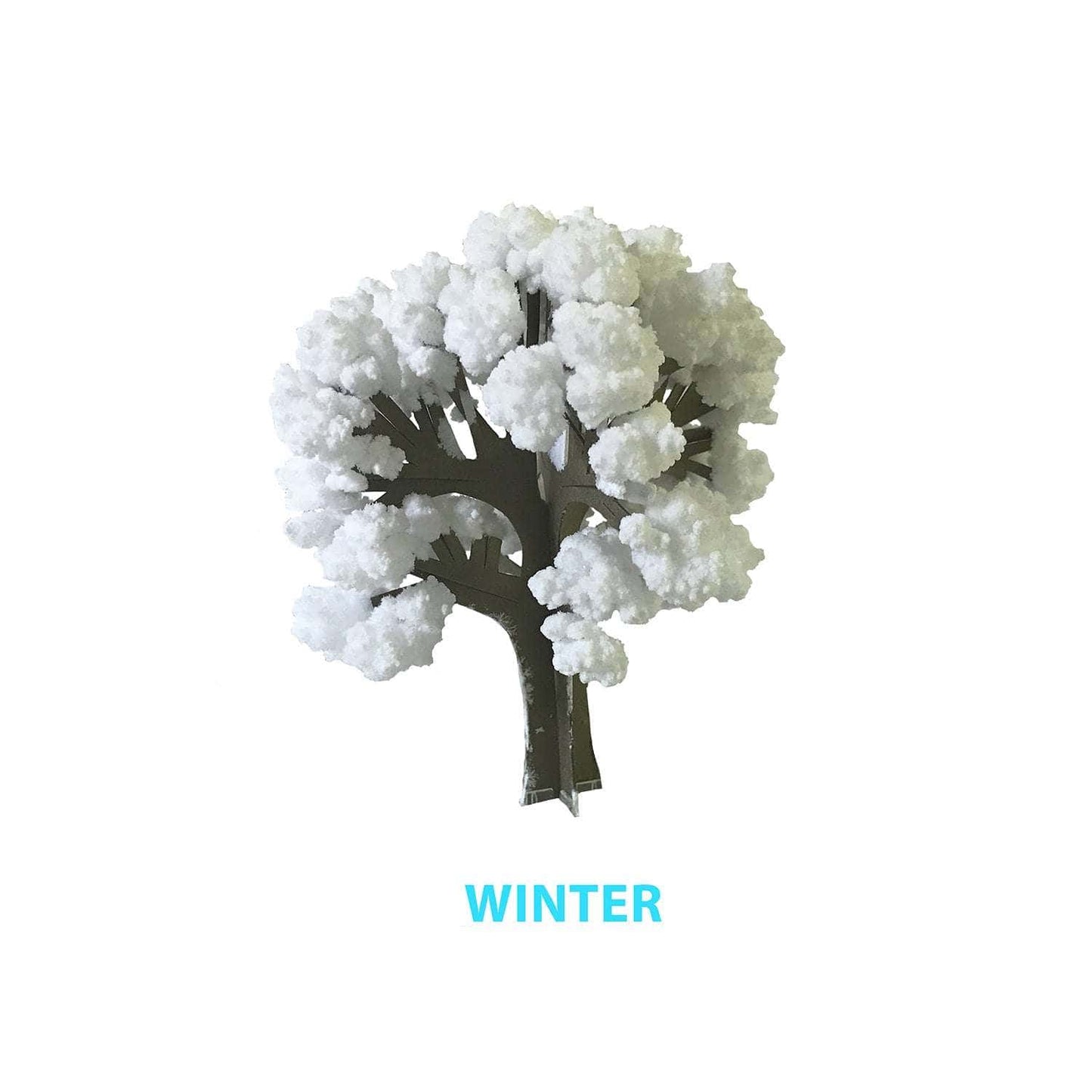 Crystal Growing Seasons kit