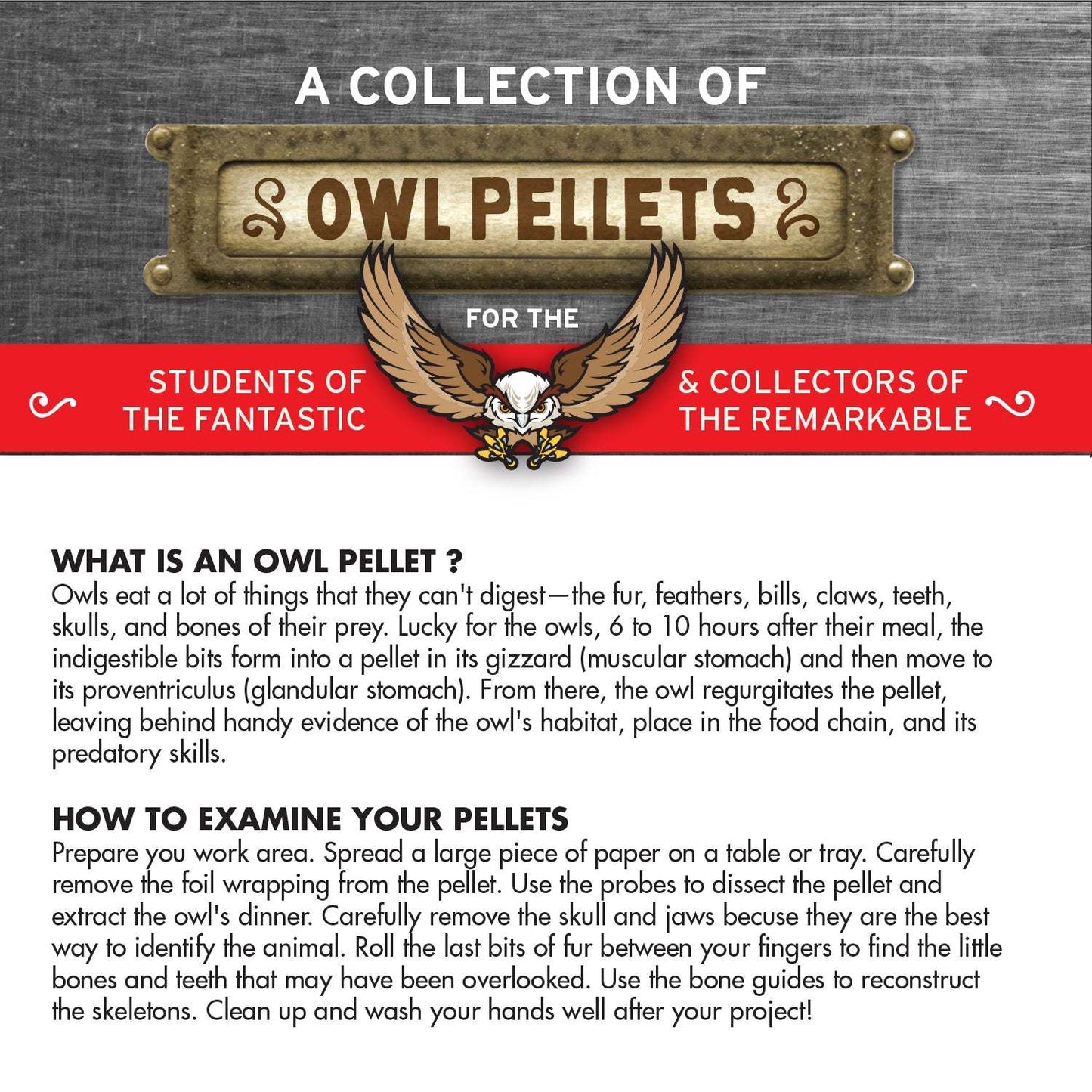 Cabinet of Owl Pellets | Copernicus Toys | Real owl pellets | Facts and instructions included…