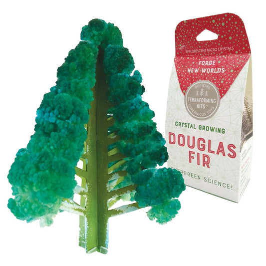 Crystal Growing Douglas Fir | Fast growing crystal science