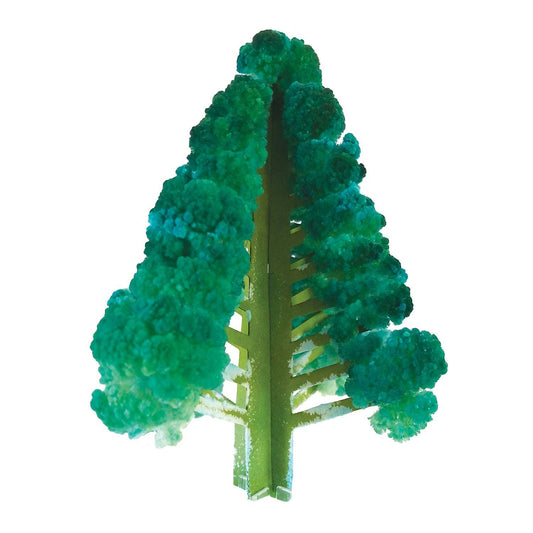 Crystal Growing Douglas Fir | Fast growing crystal science