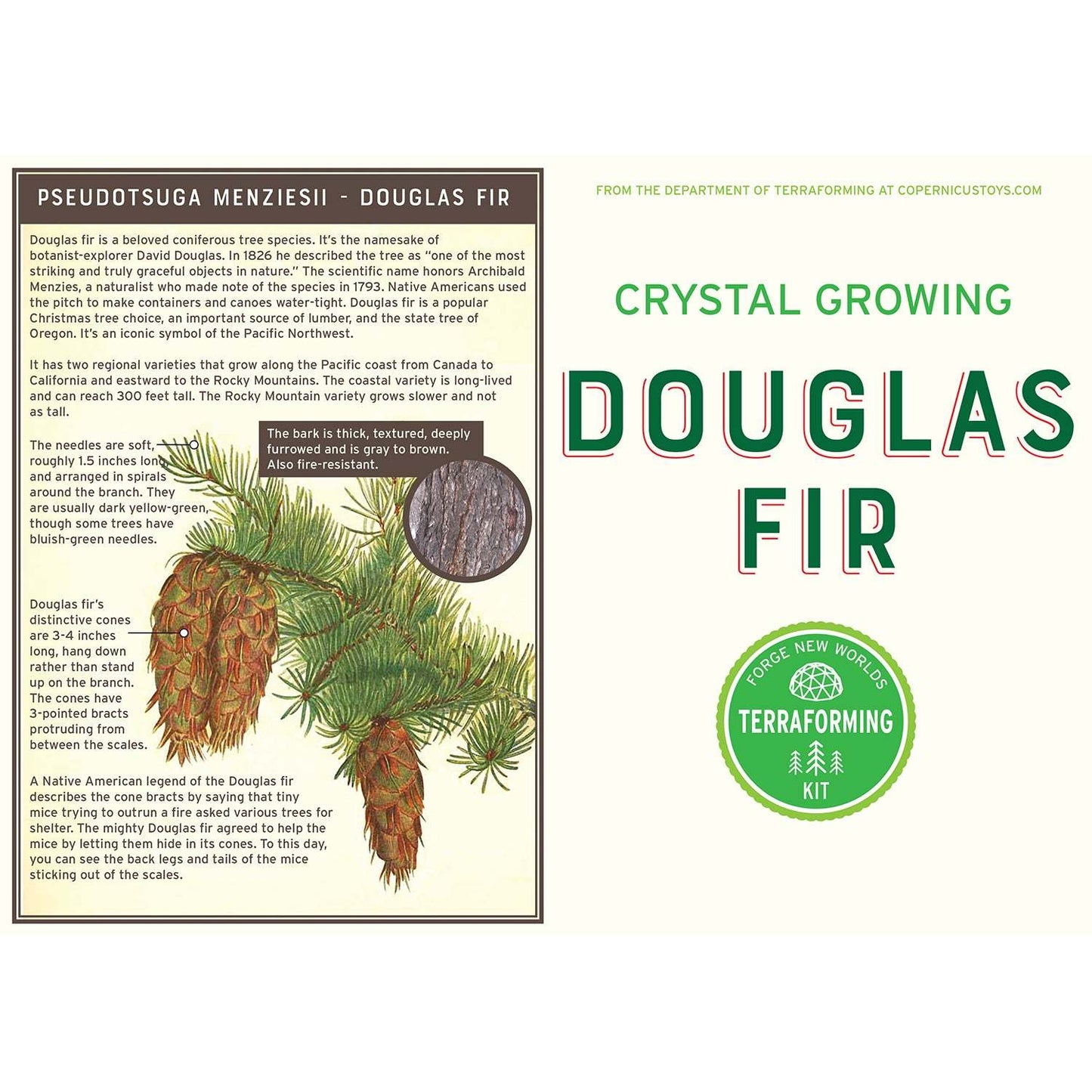 Crystal Growing Douglas Fir | Fast growing crystal science