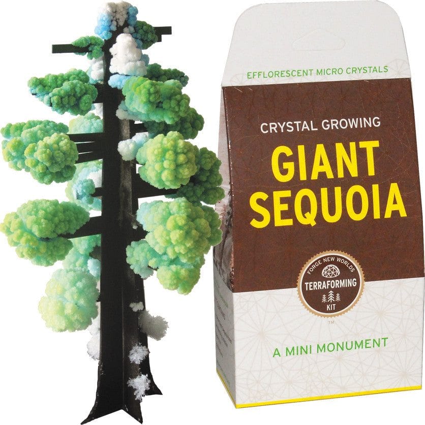 Crystal Growing: Giant Sequoia