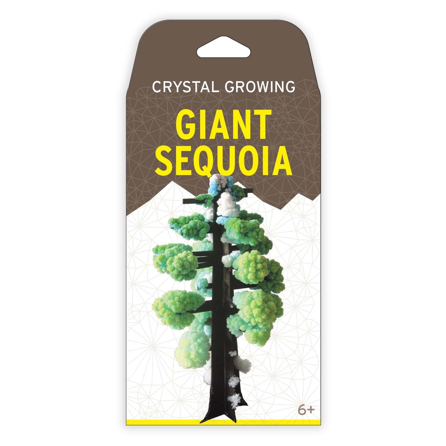 Crystal Growing: Giant Sequoia