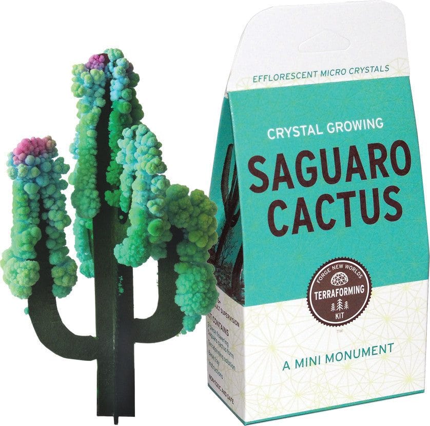 Crystal Growing: Saguaro Cactus