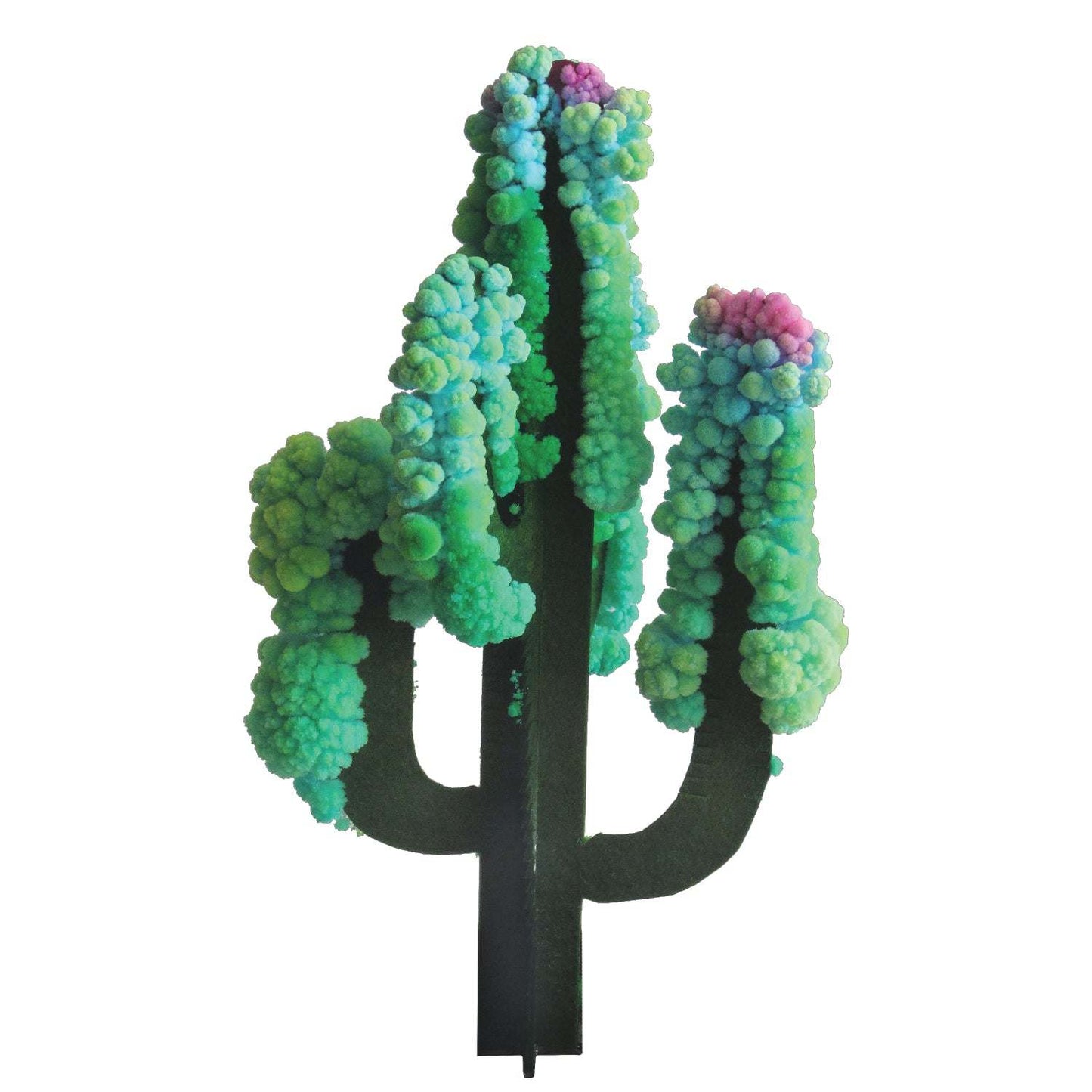 Crystal Growing: Saguaro Cactus