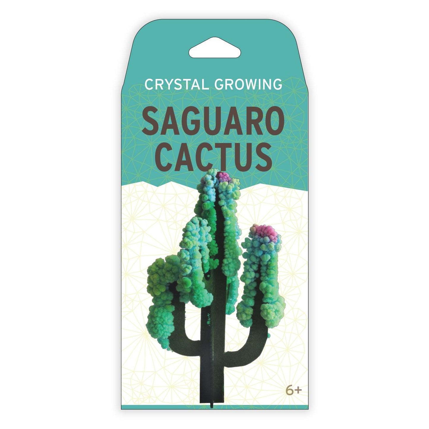 Crystal Growing: Saguaro Cactus