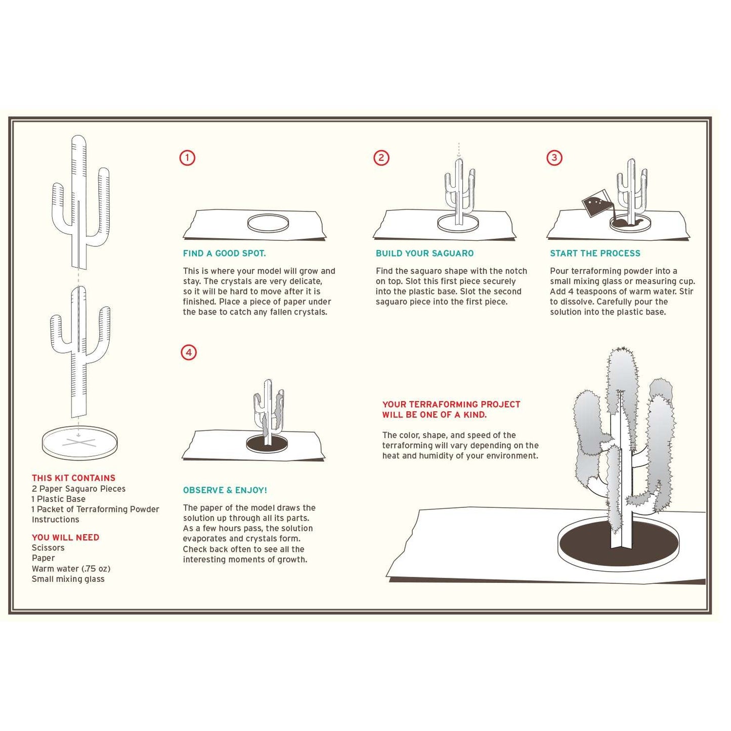 Crystal Growing: Saguaro Cactus