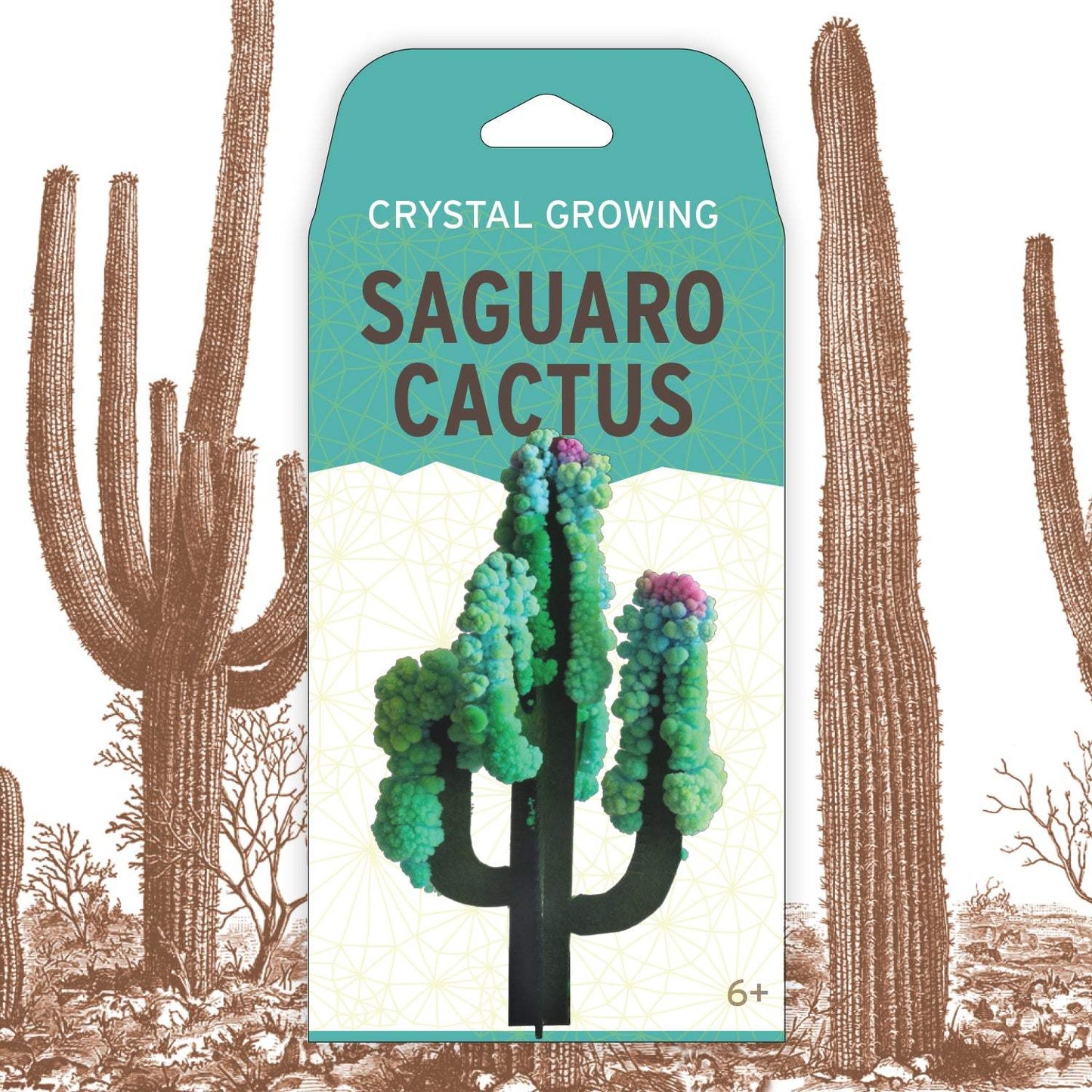 Crystal Growing: Saguaro Cactus