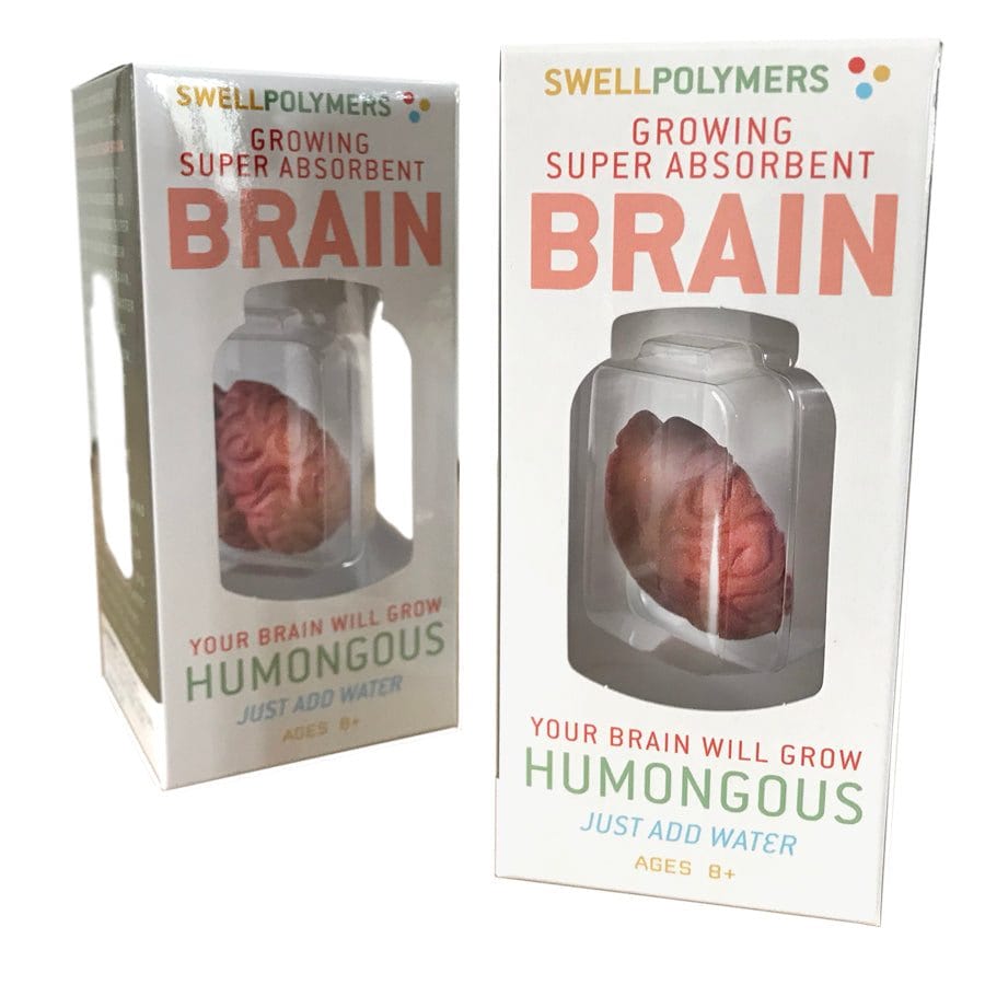 Growing Super Absorbent Brain | Your Brain will Grow Humongous | Just Add to Water