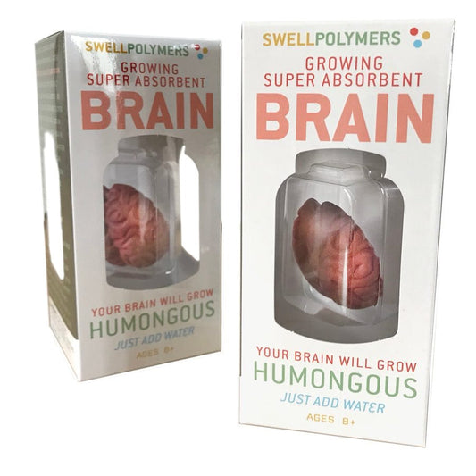Growing Super Absorbent Brain | Your Brain will Grow Humongous | Just Add to Water