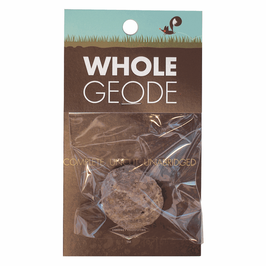 WHOLE GEODE - A rock with a secret