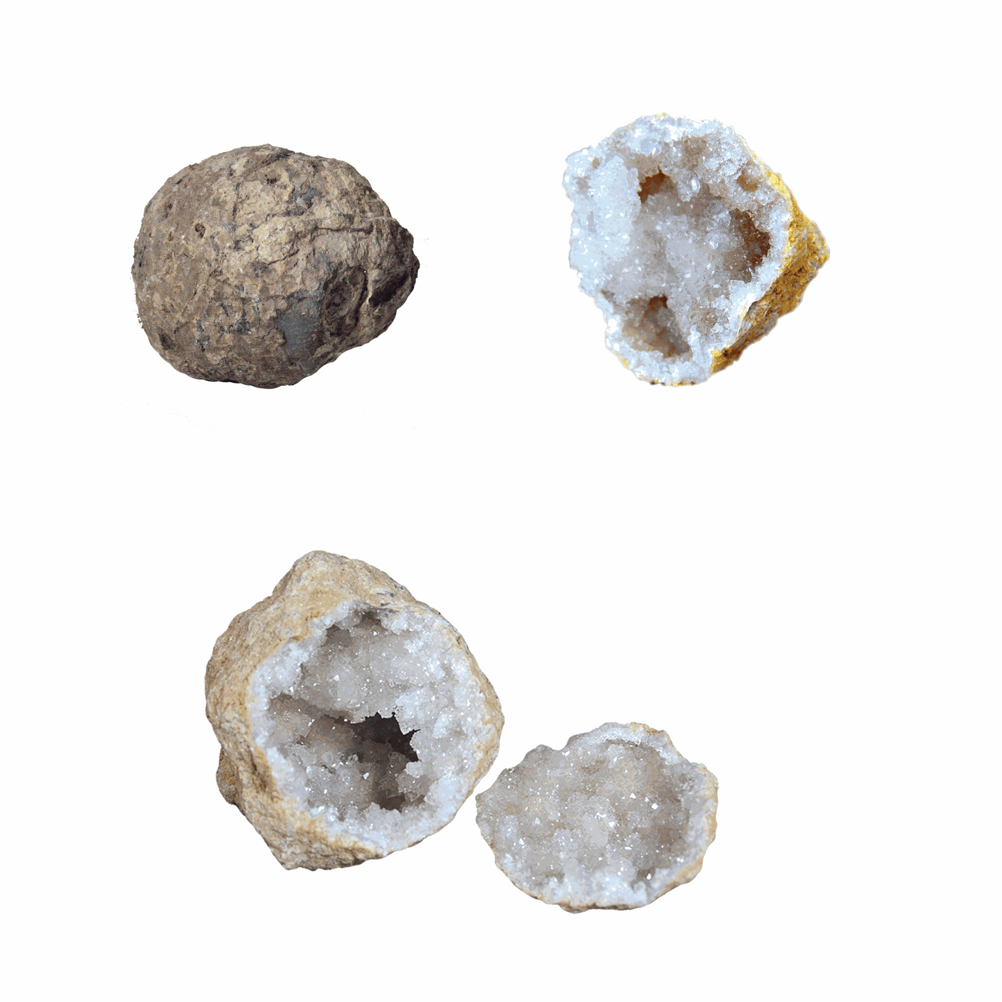 WHOLE GEODE - A rock with a secret