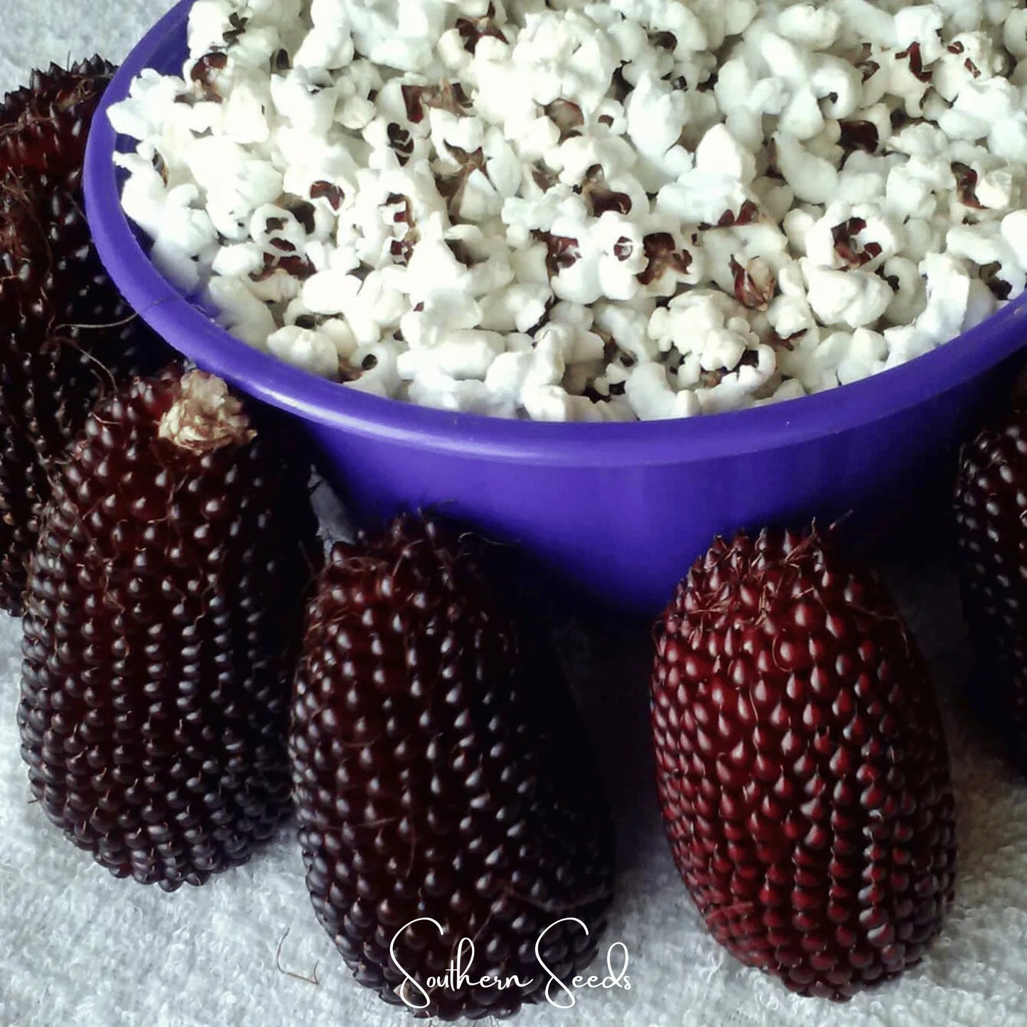 Strawberry Corn – 30 Seeds