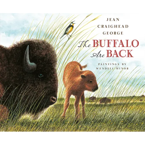 The Buffalo Are Back