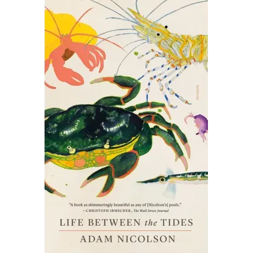 Life Between the Tides