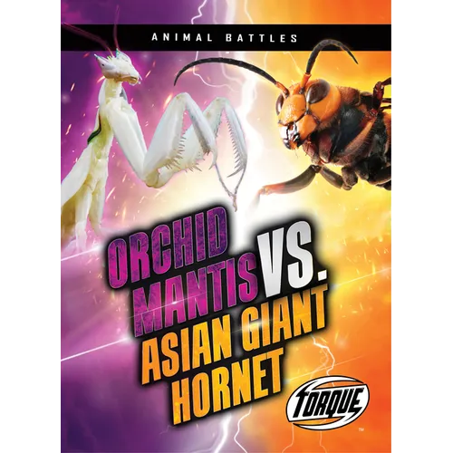 Orchid Mantis vs. Asian Giant Hornet