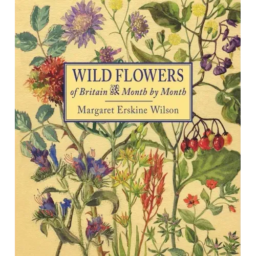 Wild Flowers of Britain: Month by Month